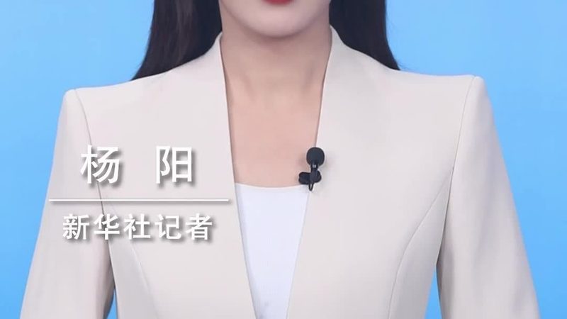 电商数据服务流程：揭秘高效数据驱动的秘密